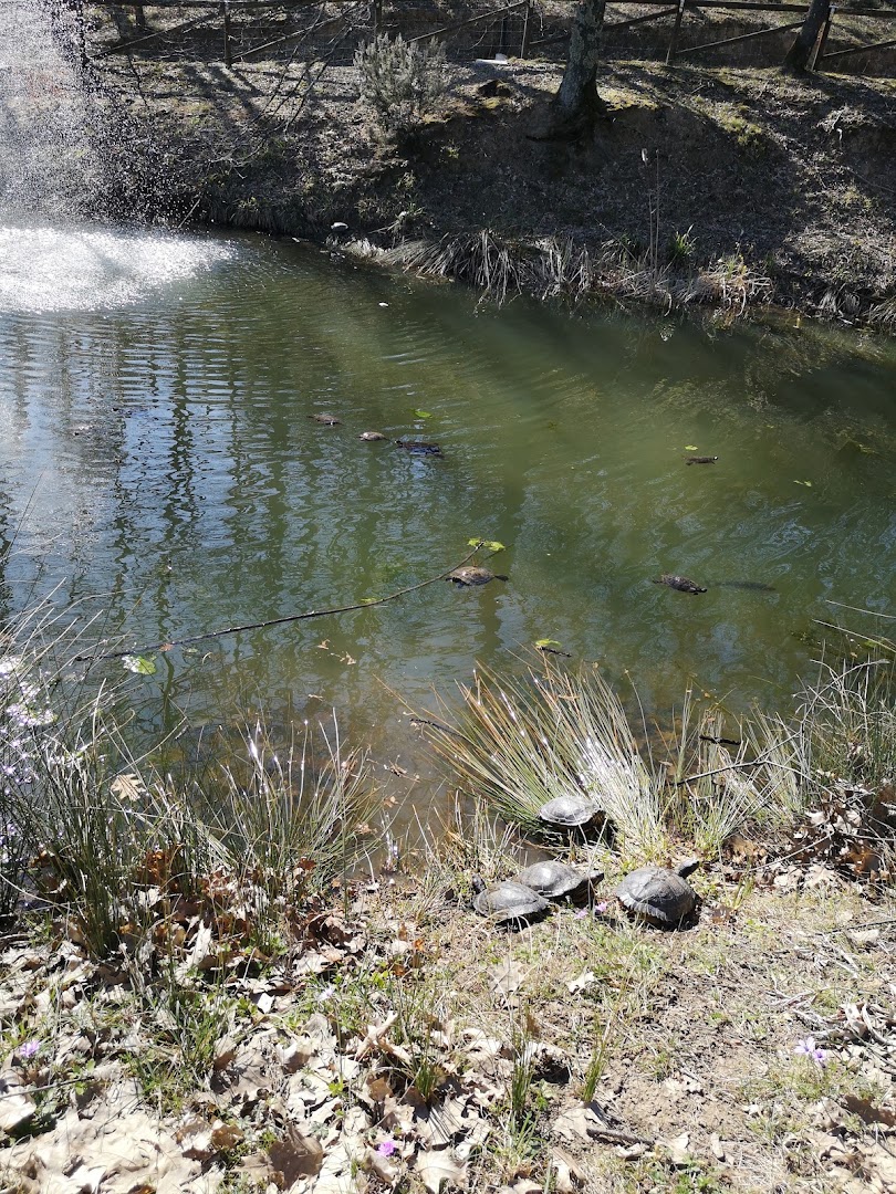 Parco dell'Aringhese, Montale