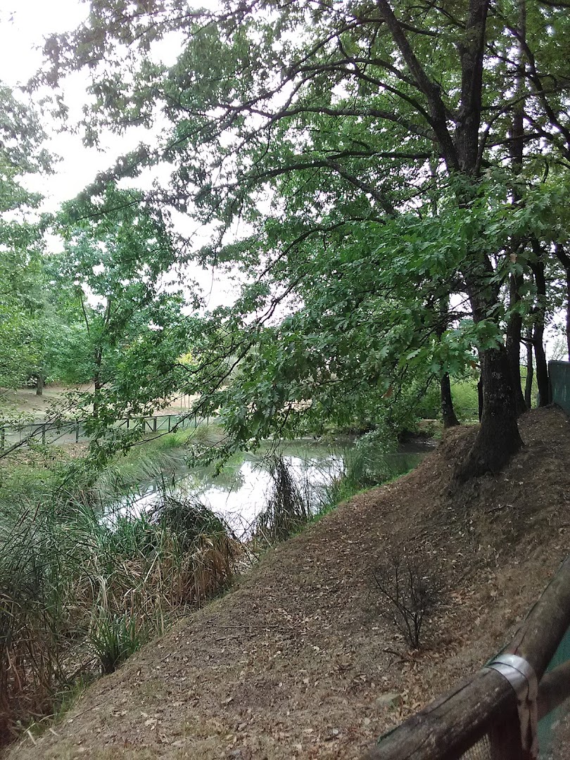 Parco dell'Aringhese