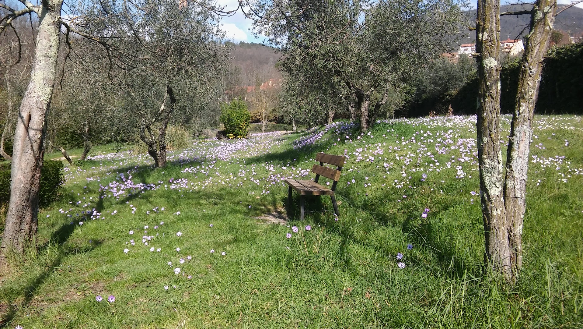 Parco dell'Aringhese