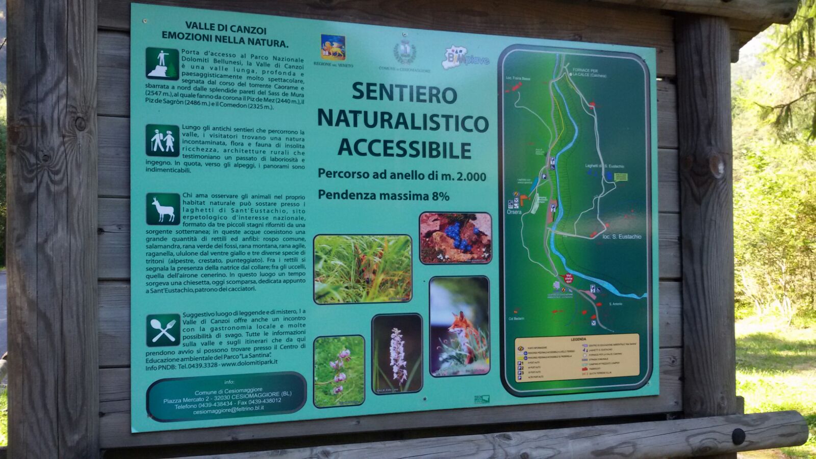 Parco delle Dolomiti, Cesiomaggiore Loc. Orsera, Val Canzoi, BL
