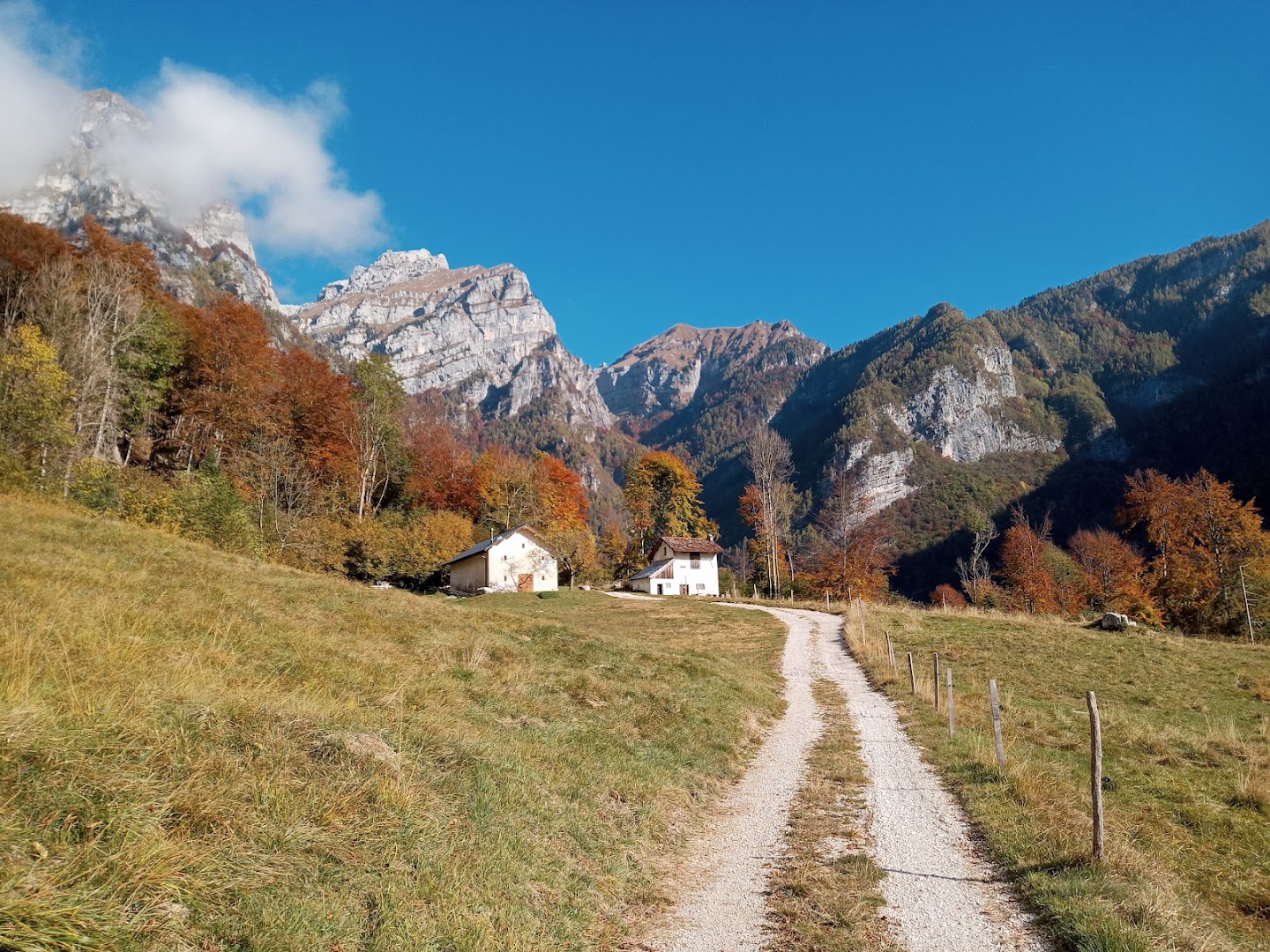 Parco delle Dolomiti, Cesiomaggiore Loc. Orsera, Val Canzoi, BL