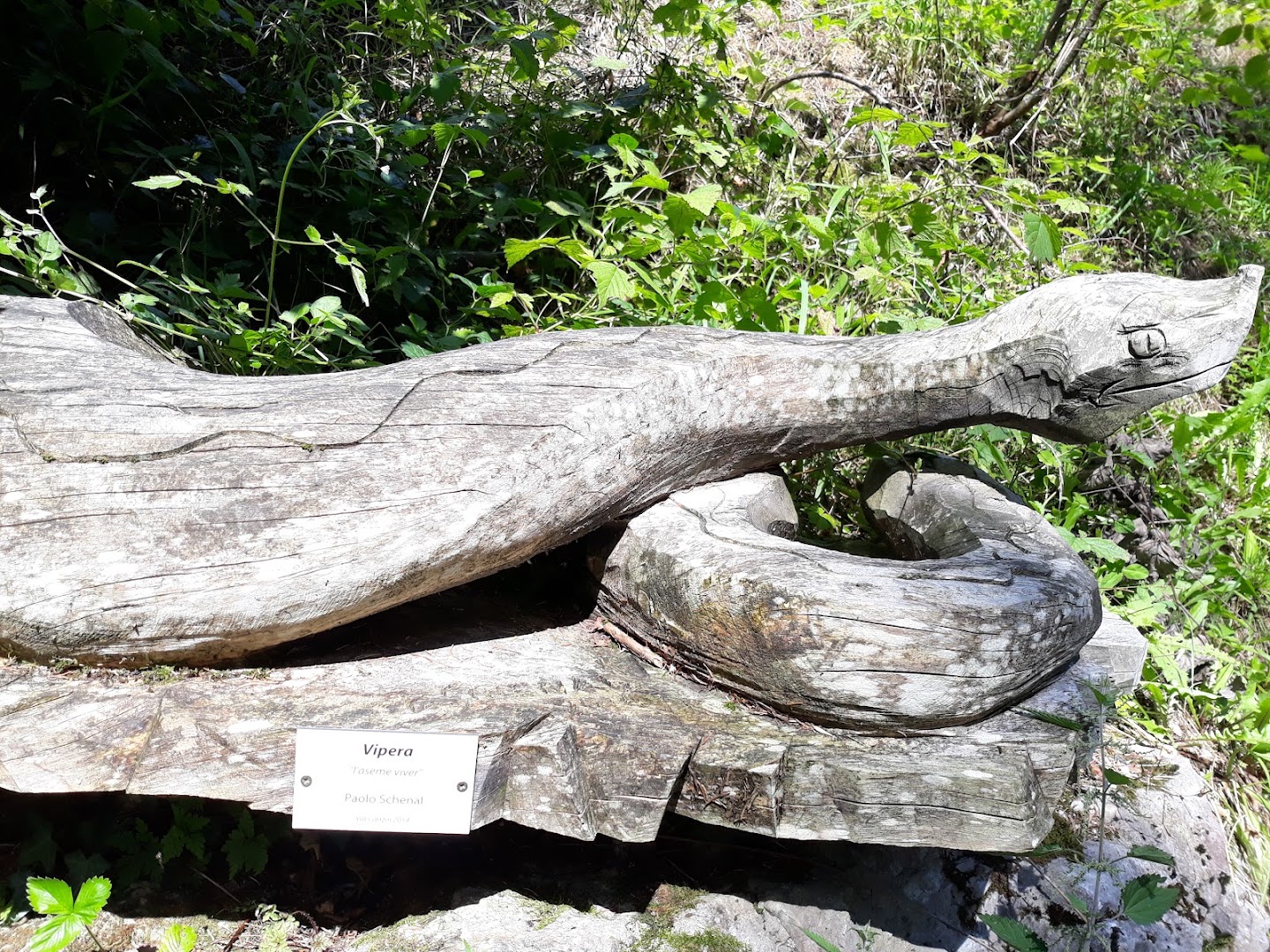 Parco delle Dolomiti, Cesiomaggiore Loc. Orsera, Val Canzoi, BL