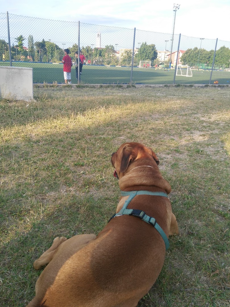 Parco delle rose