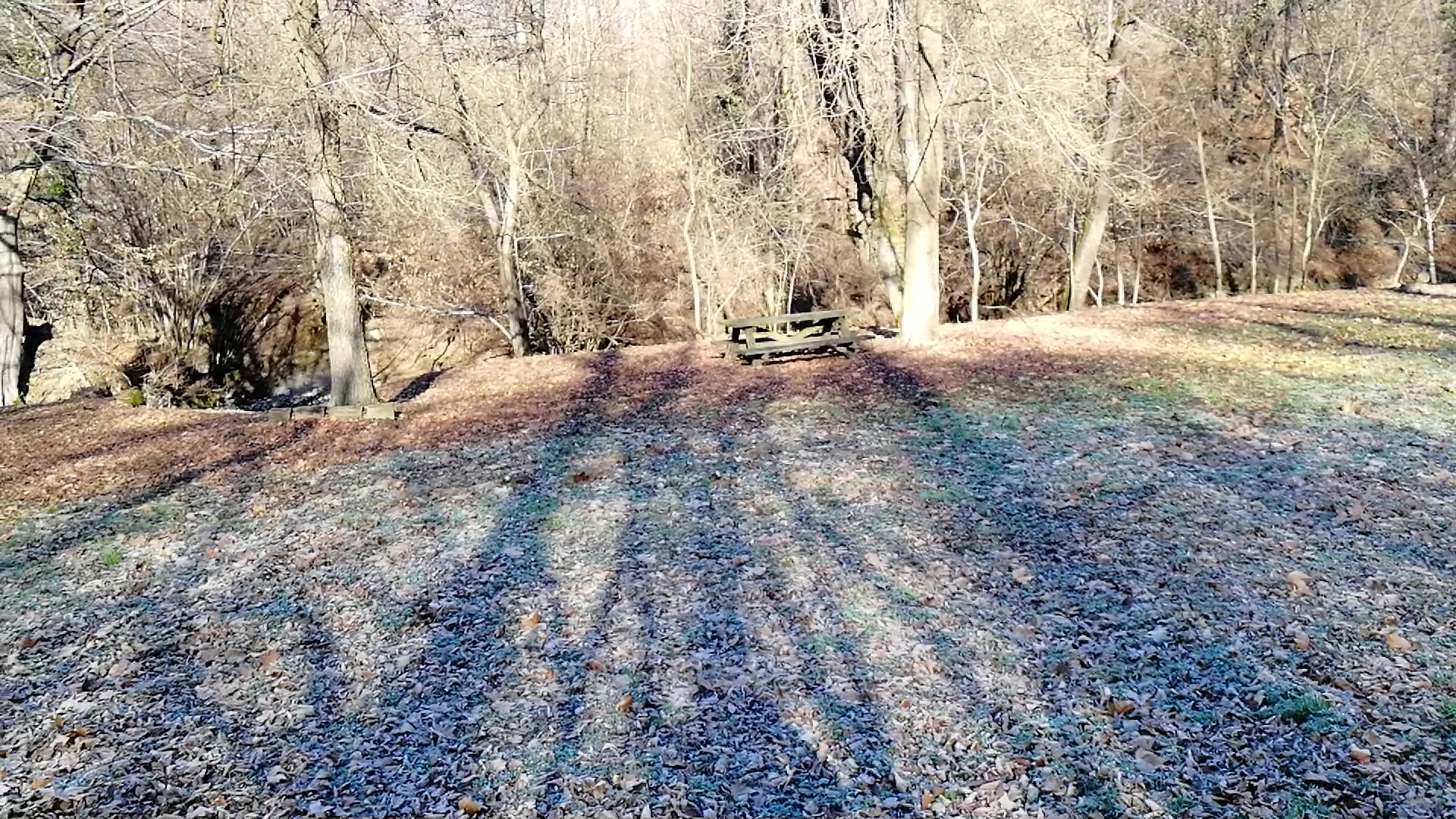 Parco di Brenno, Costa Masnaga