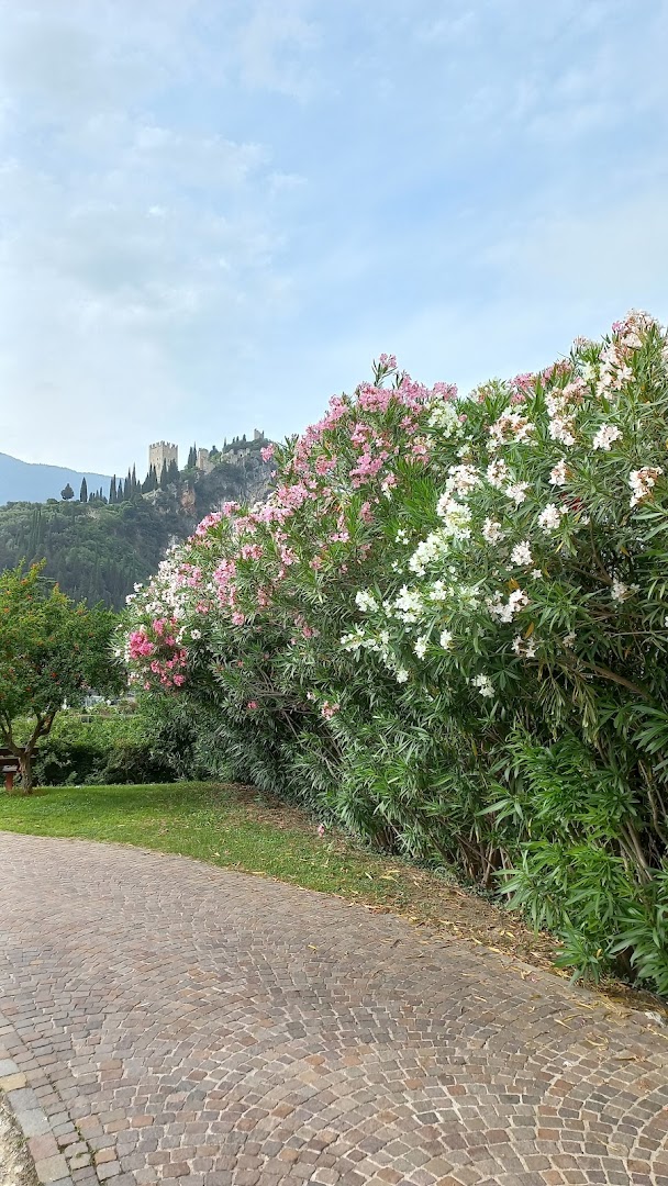 Parco di Caneve, Arco