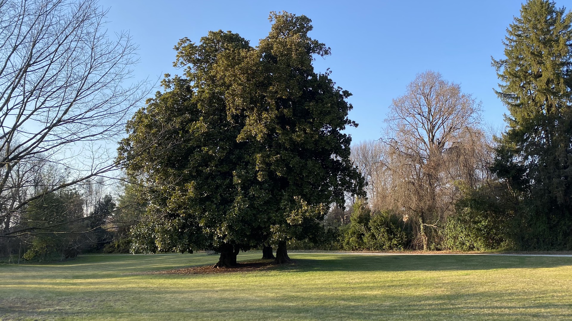 Parco di Castello Papadopoli Giol