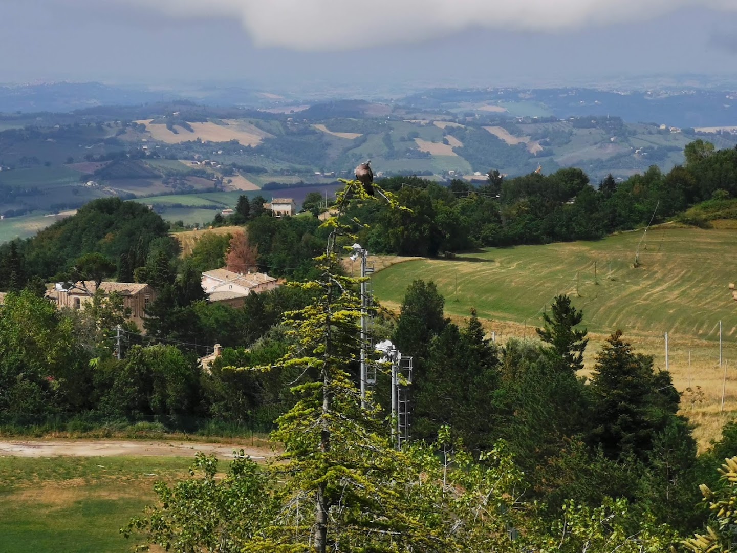 Parco di Colle Ascarano