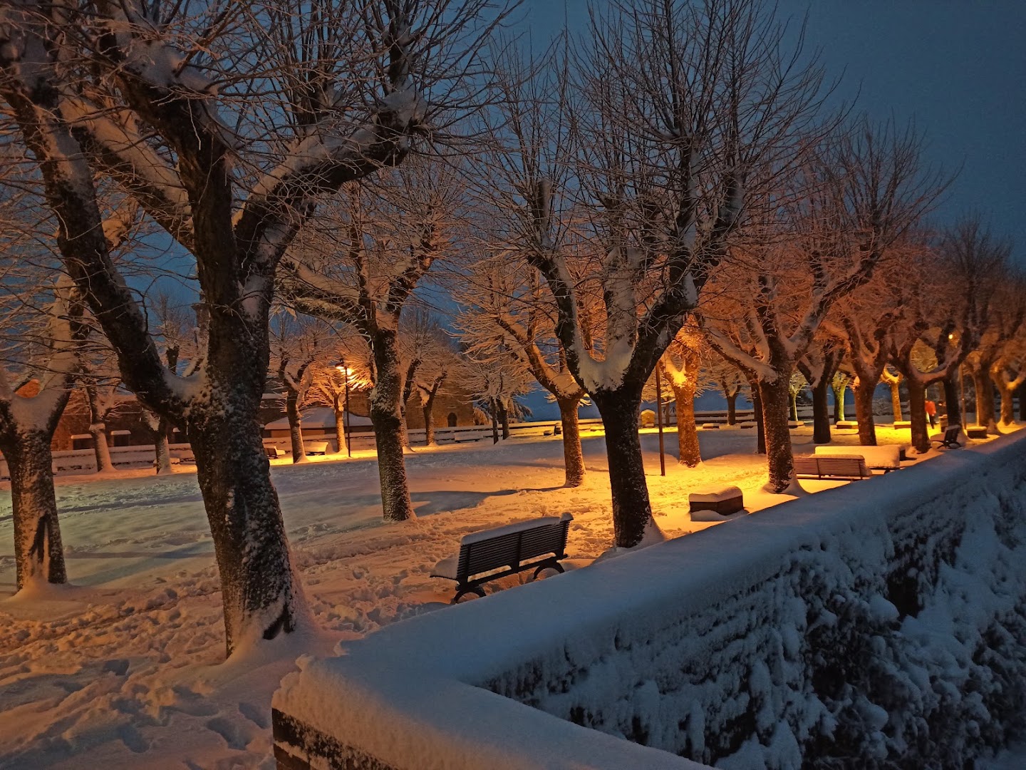 Parco di Colle Ascarano