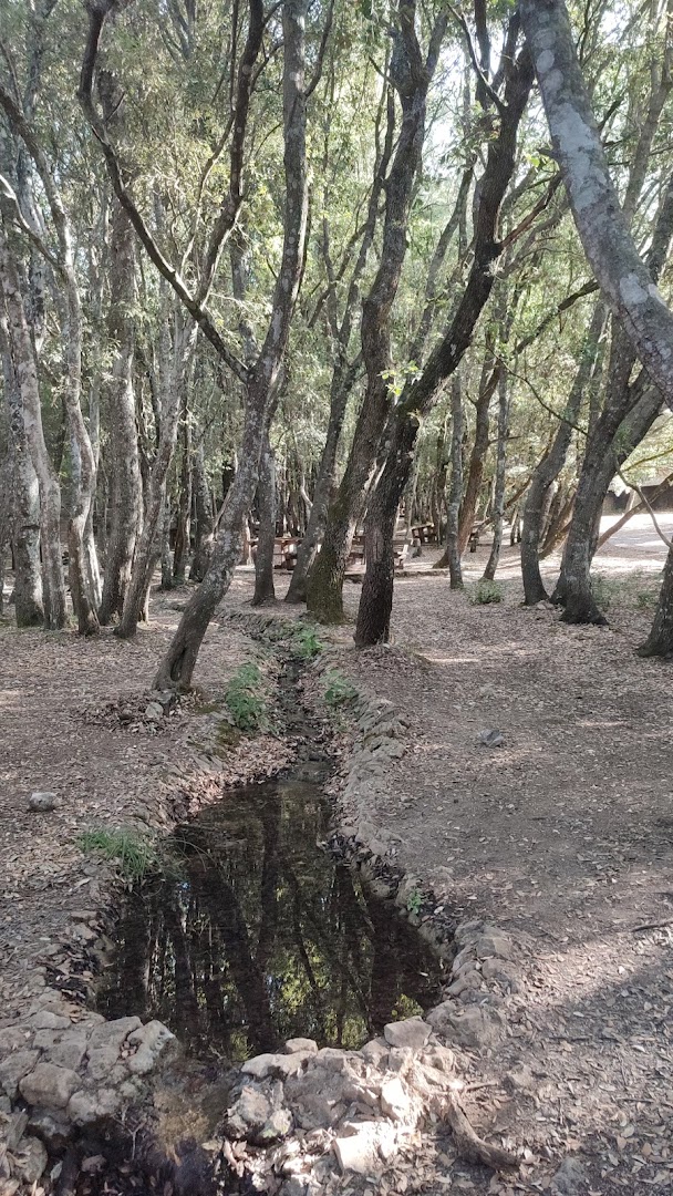 Parco di Funtana Is Arinus