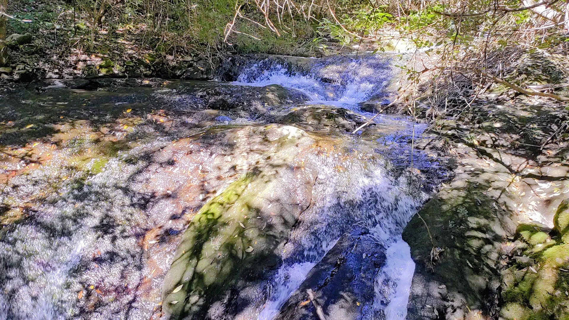 Parco di Funtana Is Arinus