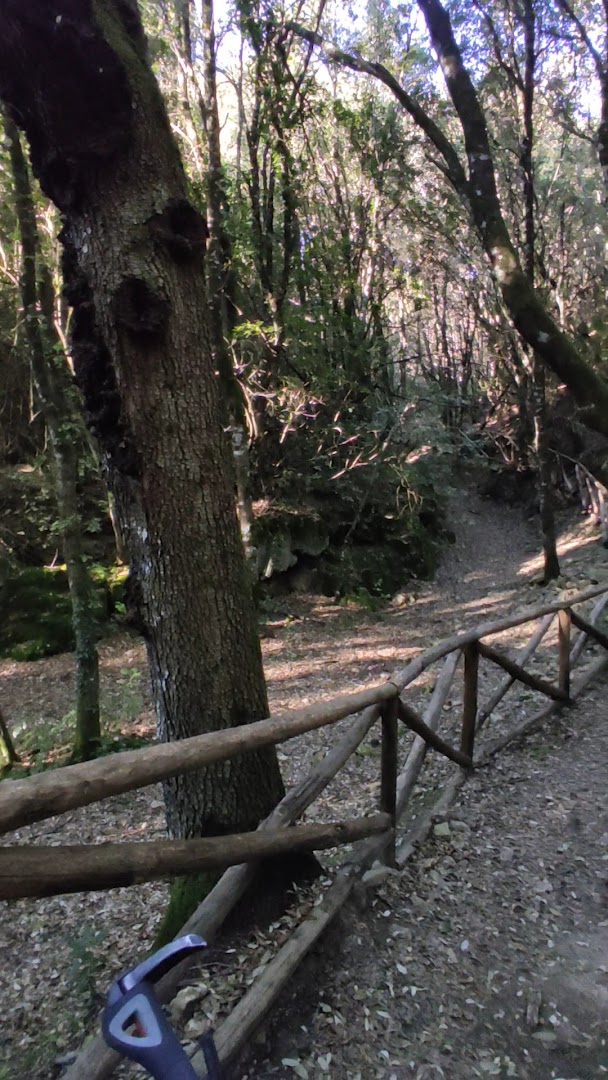 Parco di Funtana Is Arinus