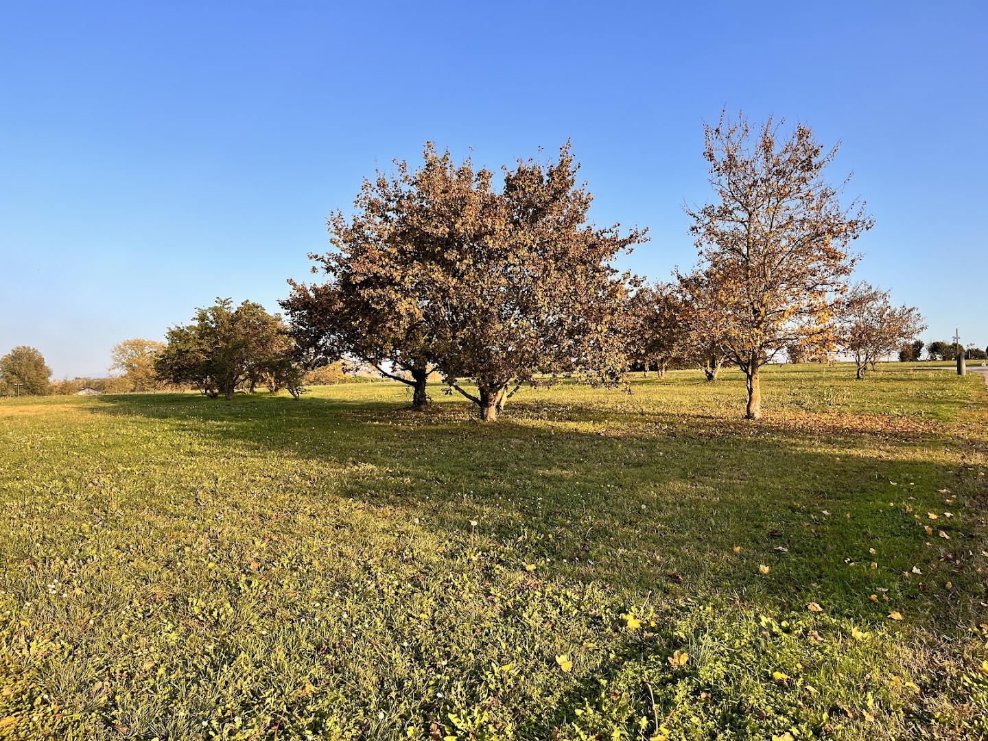 Parco di San Giuliano