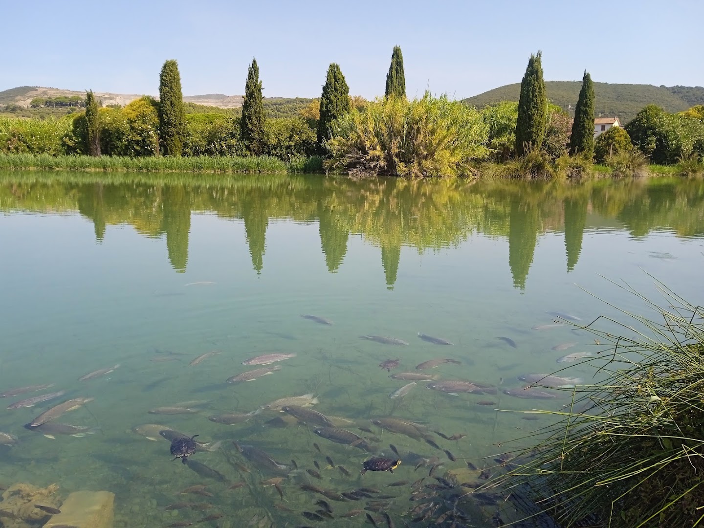 Parco di Tufaia