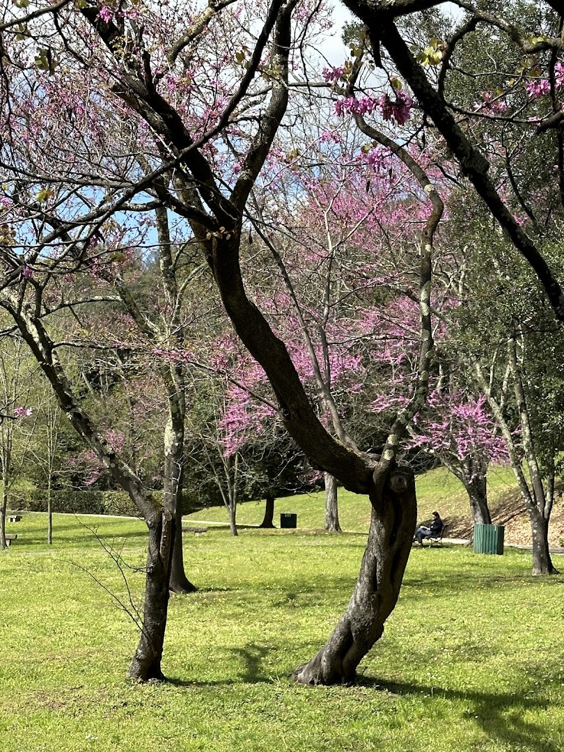 Parco di Villa Il Ventaglio