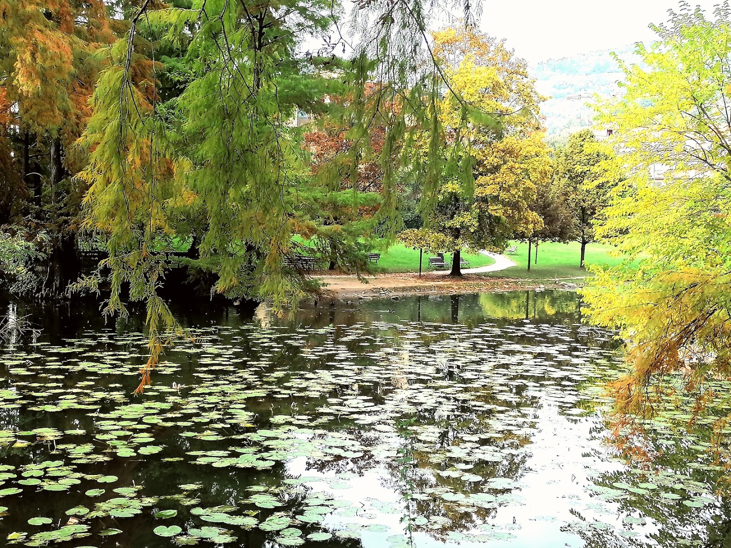 Parco Ducos