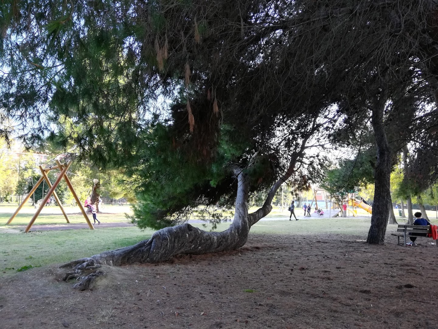 Parco ex Caserma Di Cocco