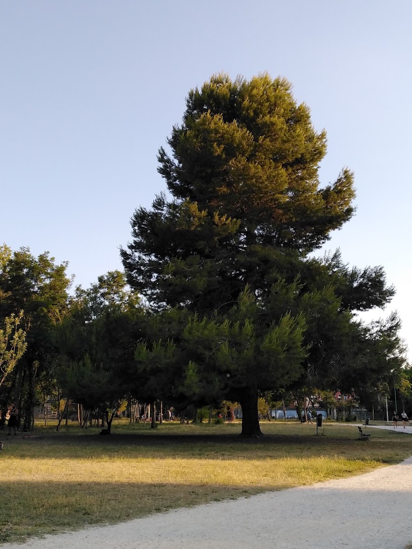 Parco ex Caserma Di Cocco