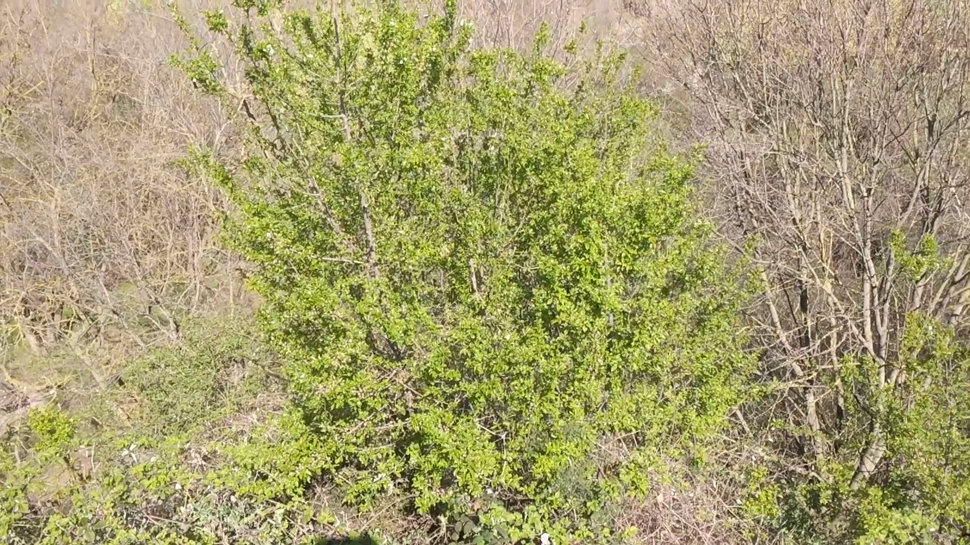 Parco ex Cava Monte Croce