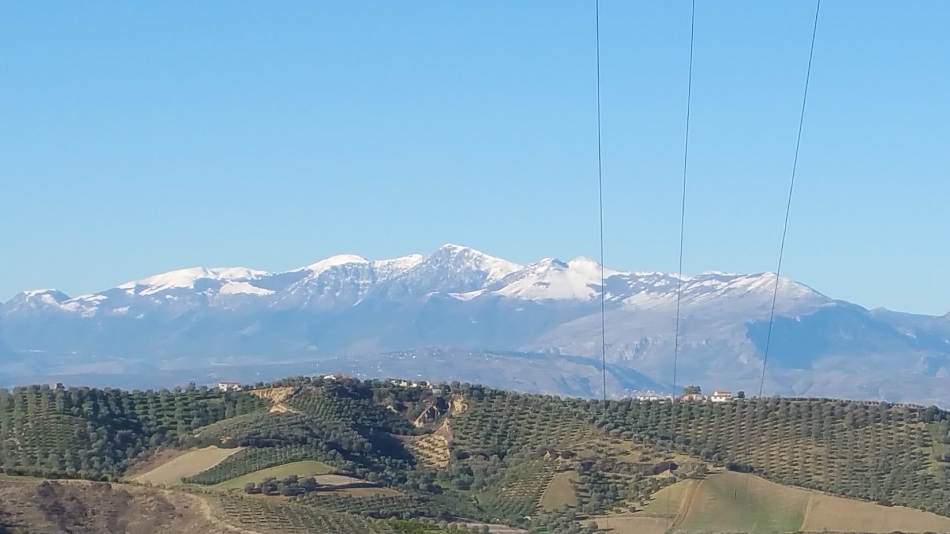 Parco Falcone Borsellino, Terranova Da Sibari