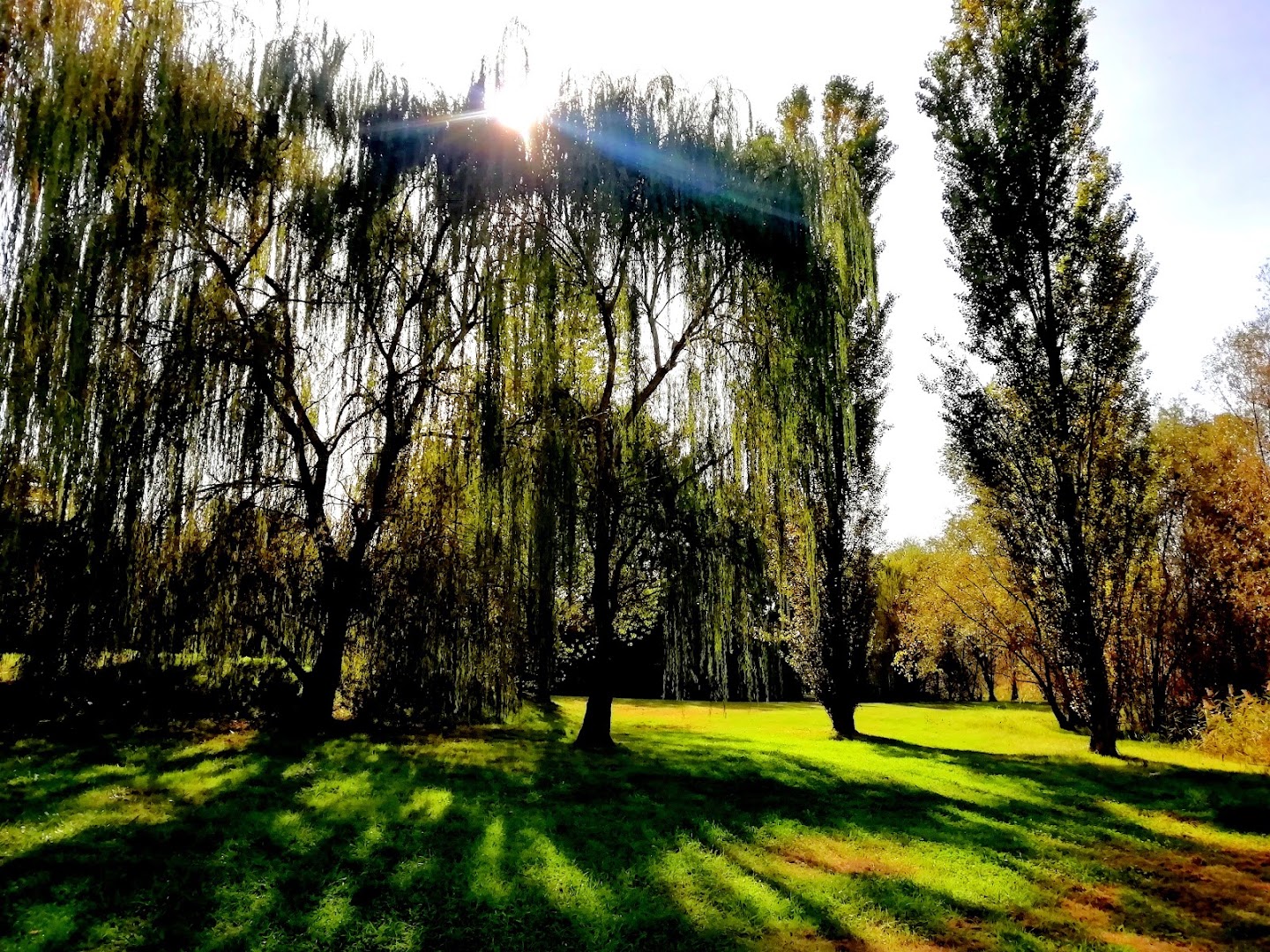 Parco Fluviale "Di là d'Arno"