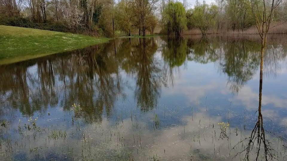 Parco Fluviale "Di là d'Arno"