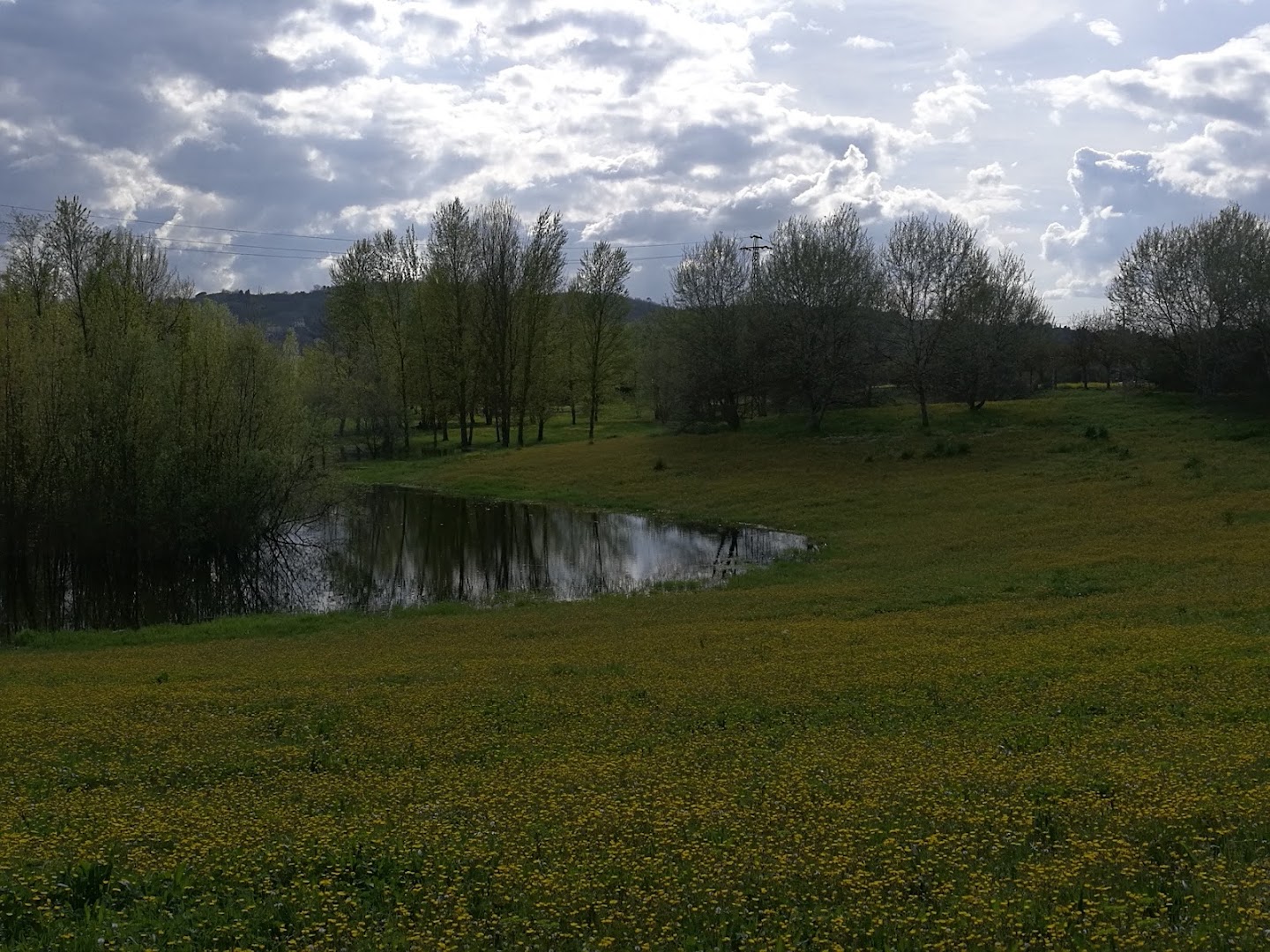 Parco Fluviale "Di là d'Arno"