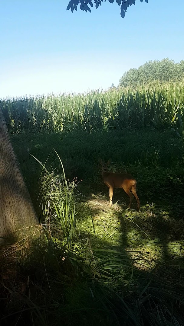 Parco Fluviale Gesso e Stura