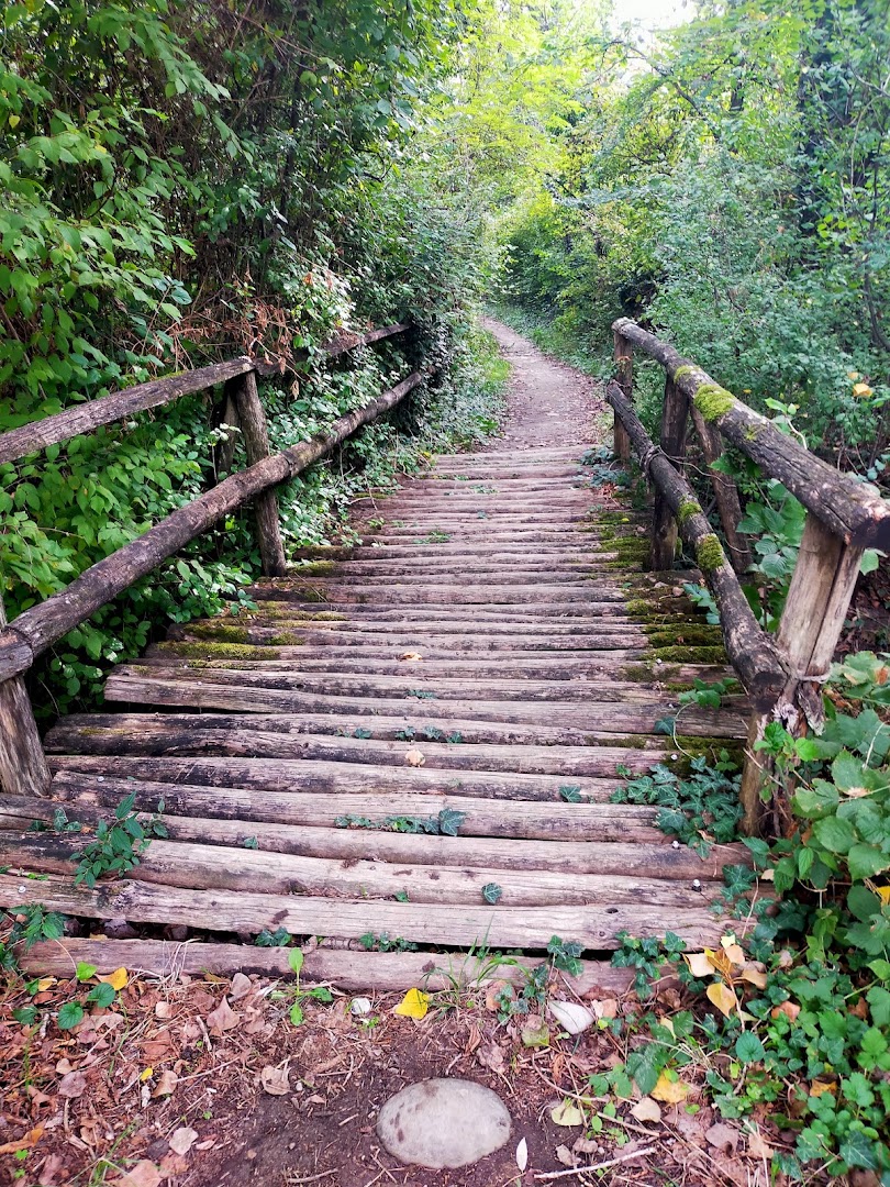 Parco Fluviale Regionale del Taro