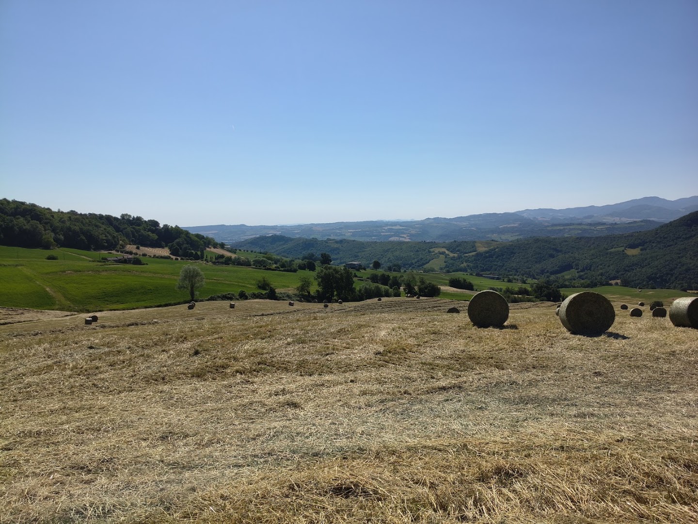 Parco Fluviale Regionale del Taro