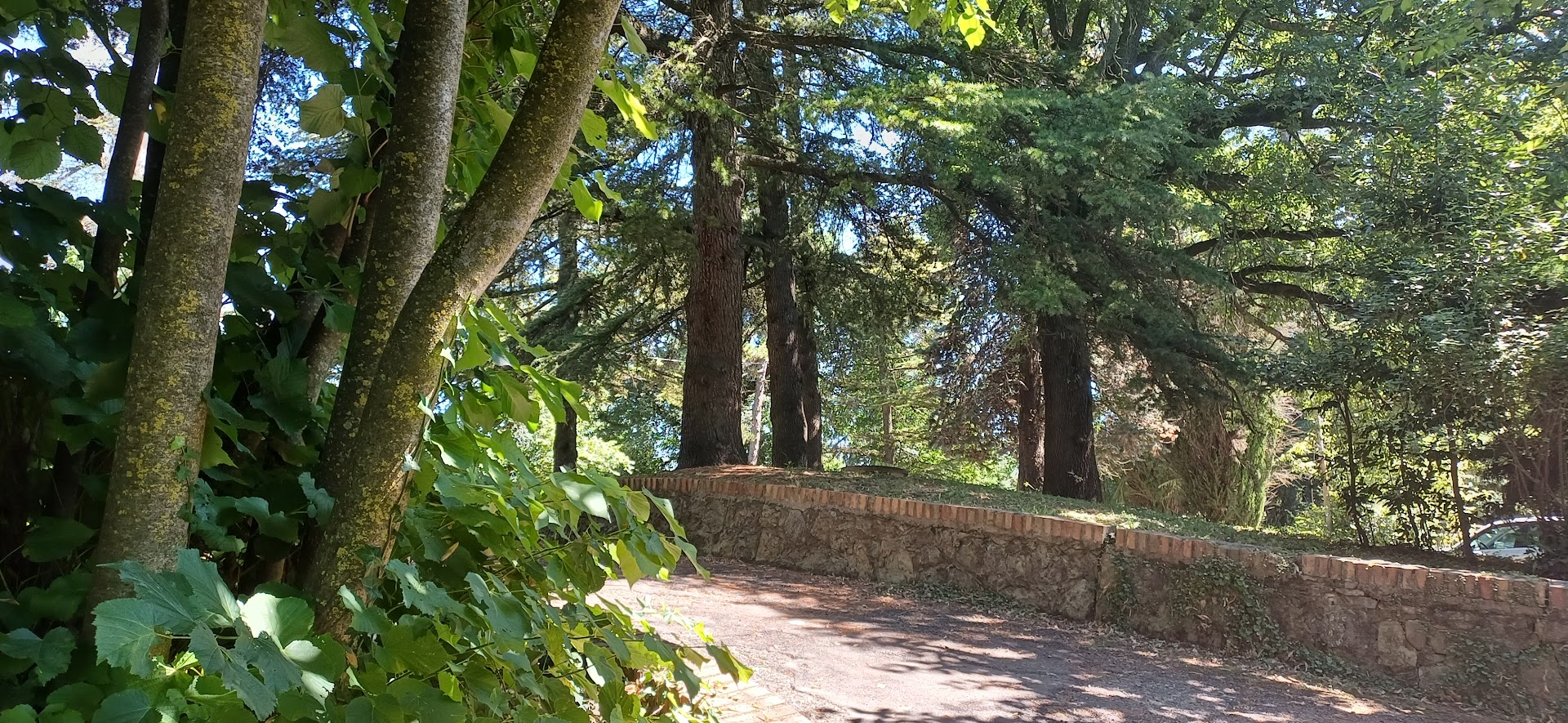 Parco Fola (Albinea)