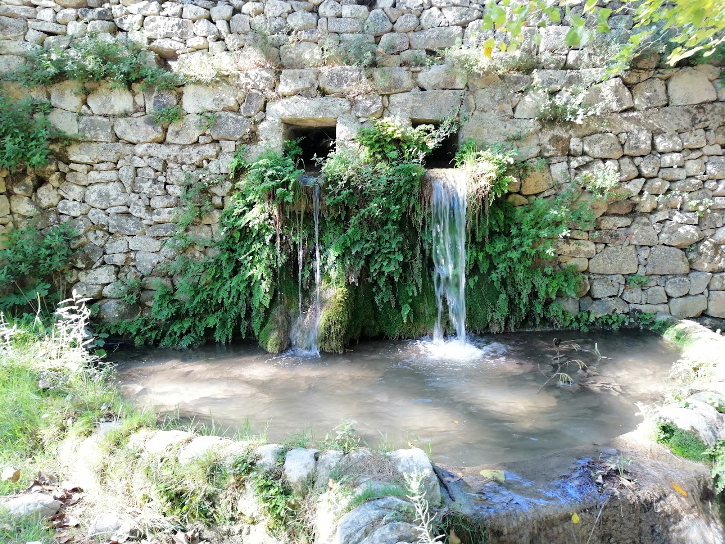 Parco forestale Calaforno