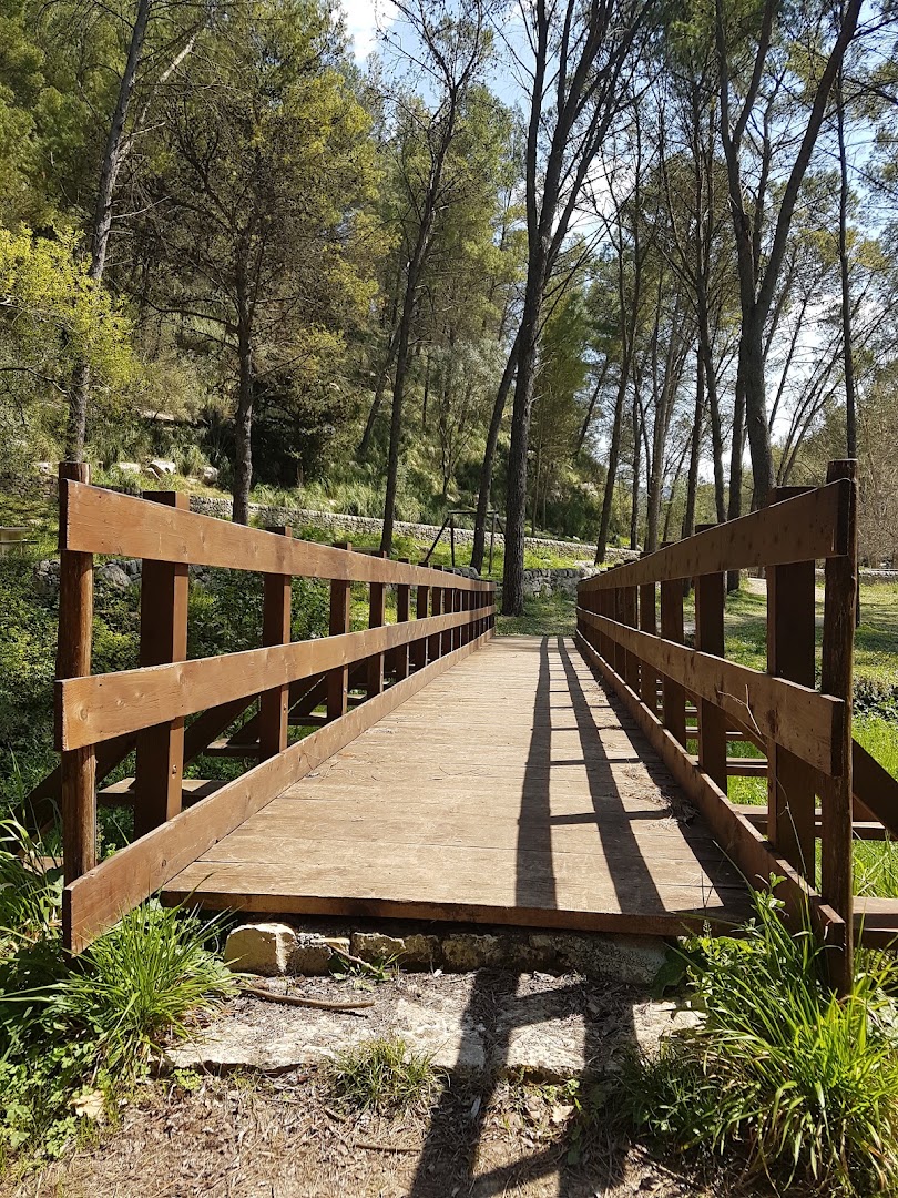 Parco forestale Calaforno