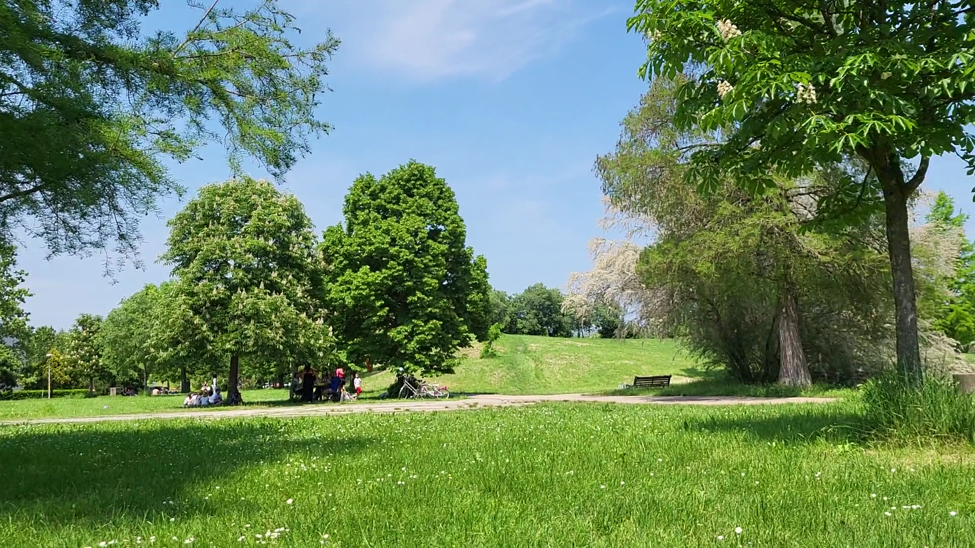 Parco Giovanni Amendola, Modena