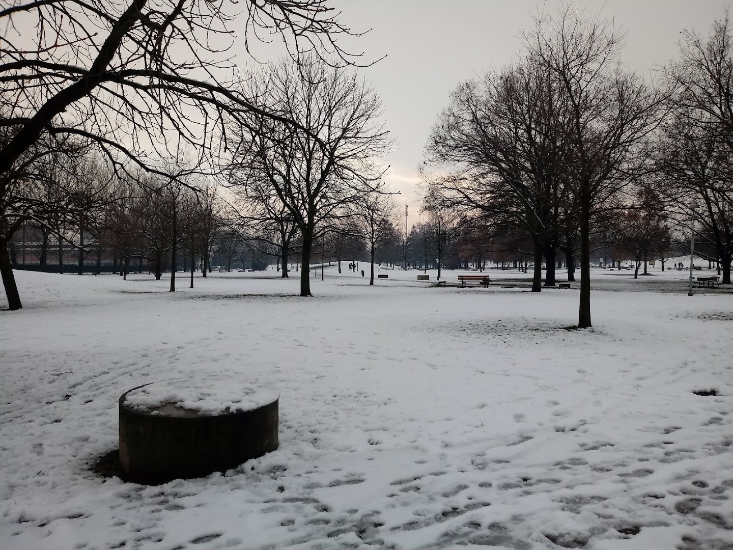 Parco Giovanni Amendola