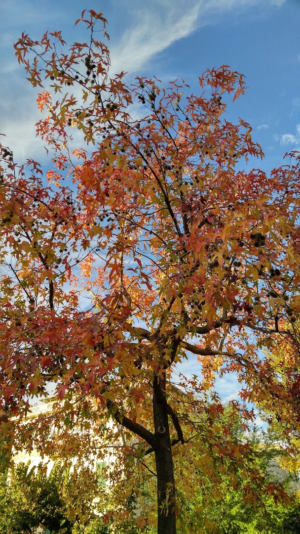Parco Giovanni Ialongo