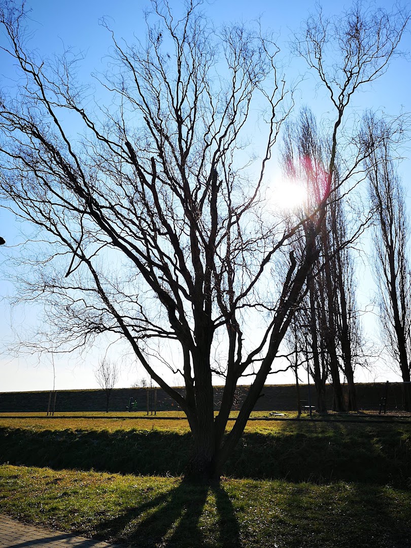 Parco i Pioppi