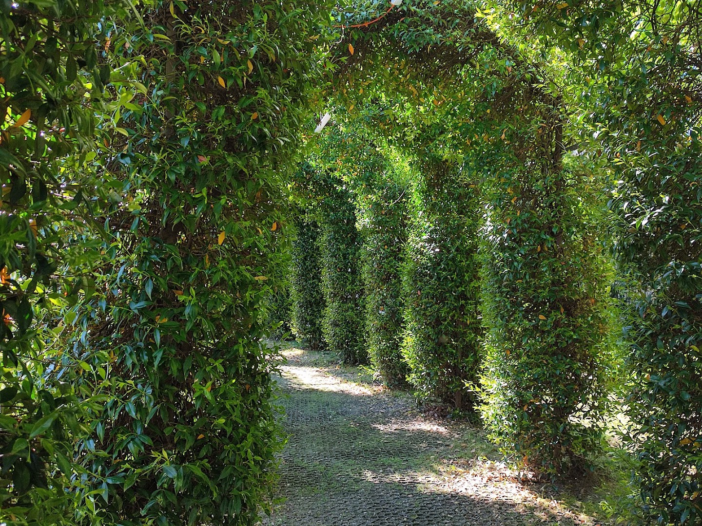 Parco Il Boschetto