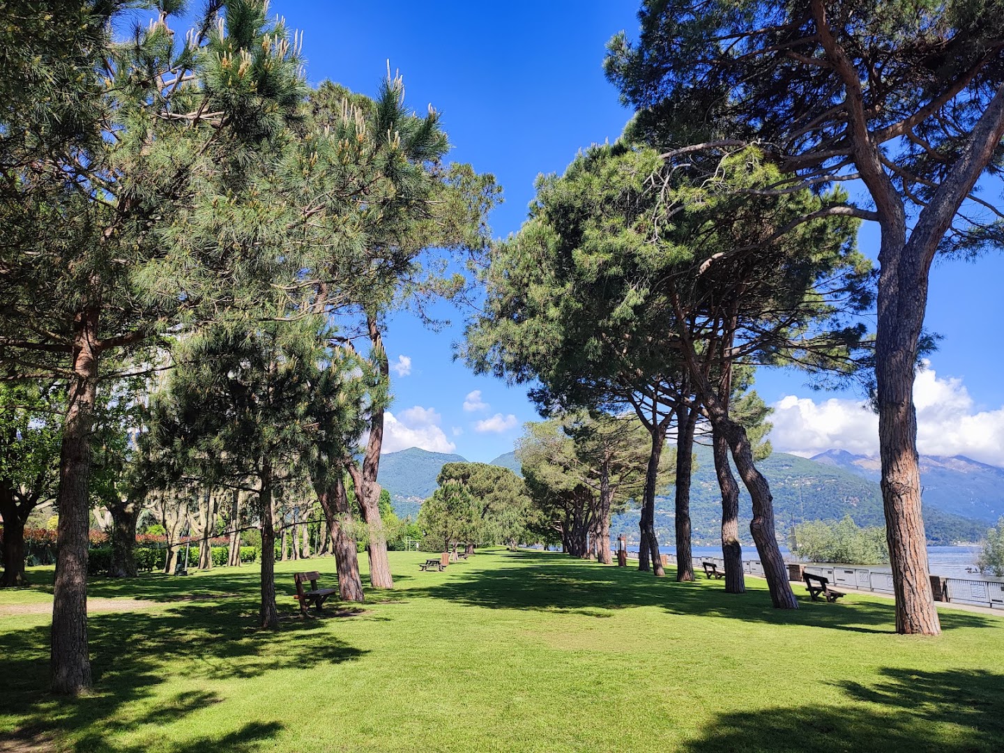 Parco Il Boschetto