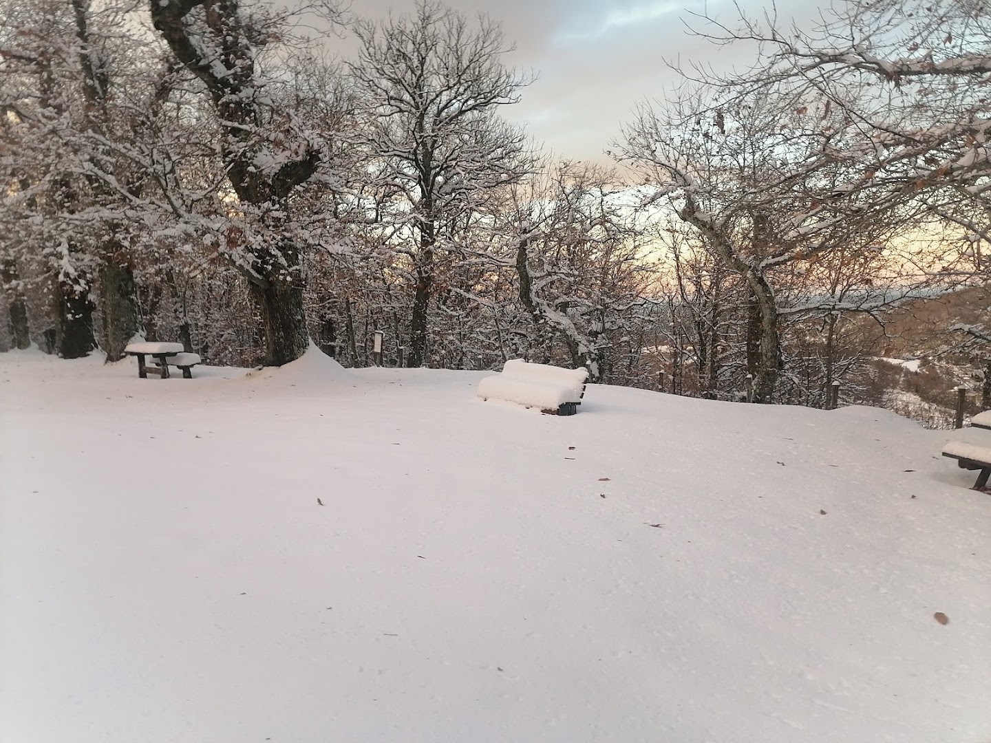 Parco Il Piano