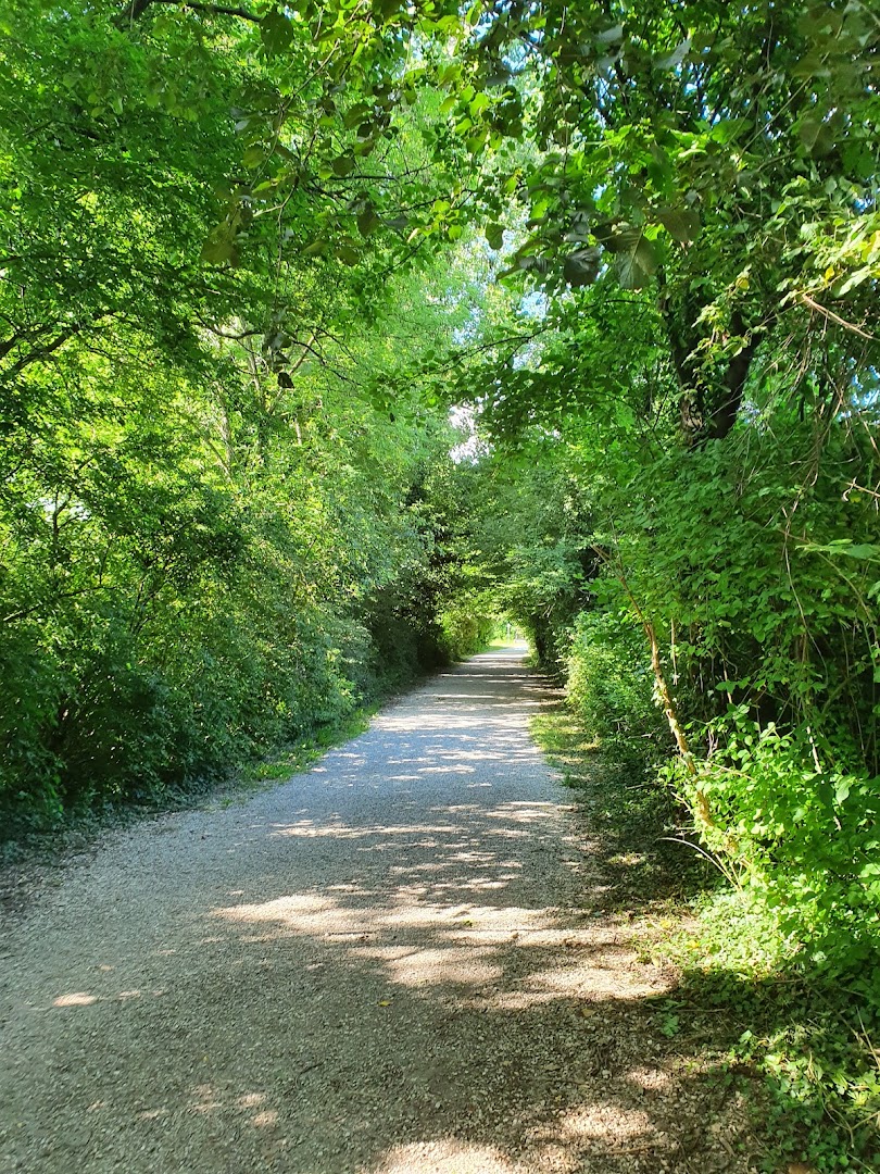 Parco Laghetti Martellago
