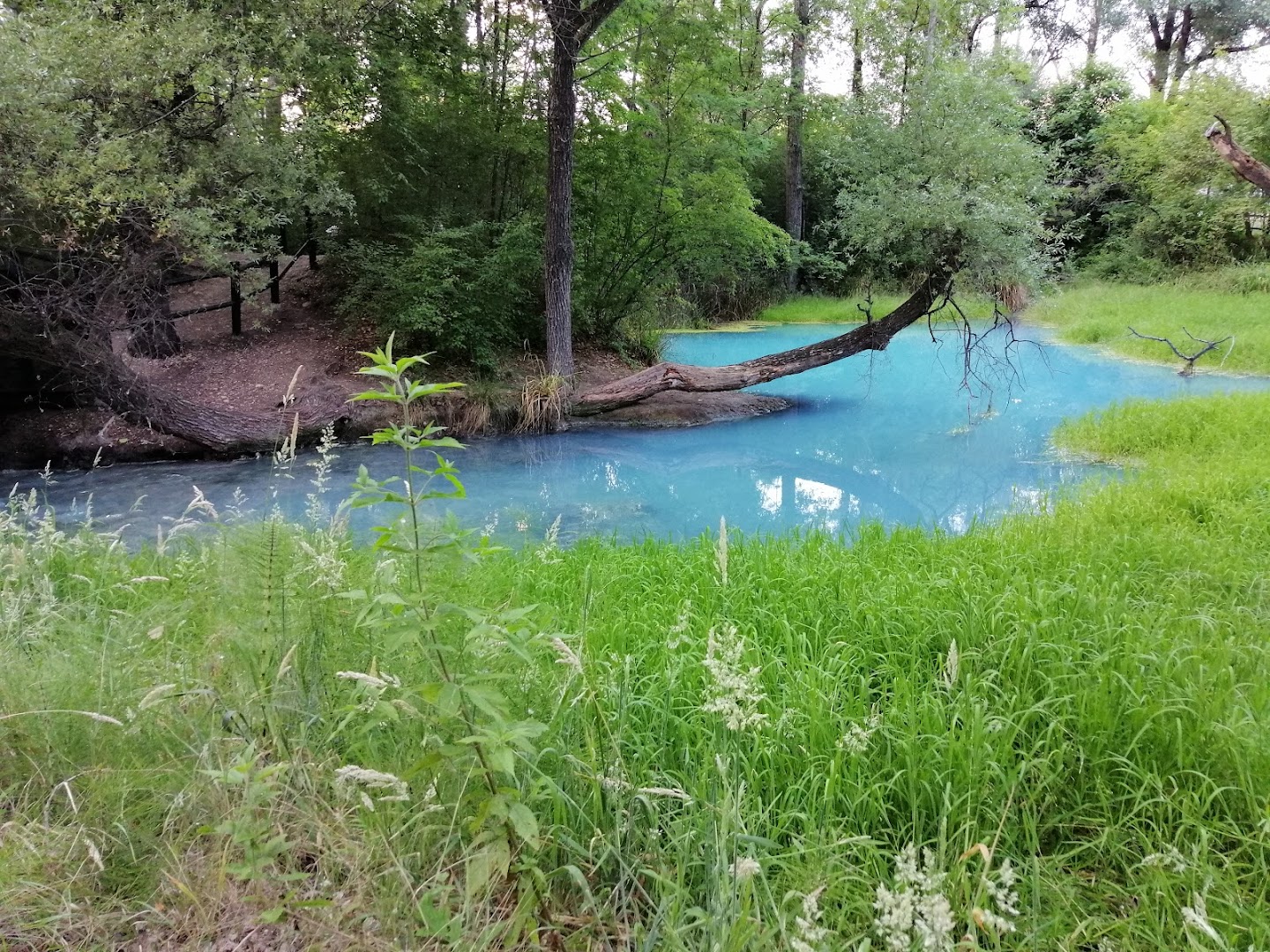 Parco Lavino - Sorgenti Sulfuree