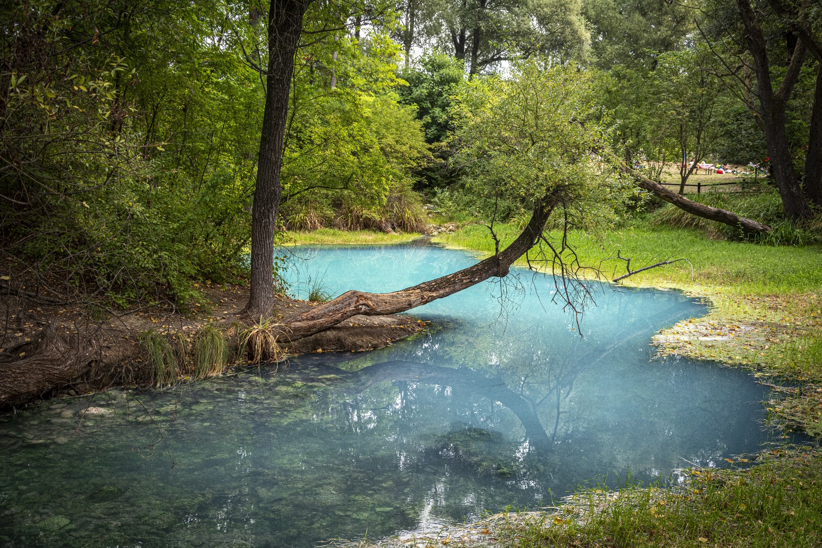 Parco Lavino - Sorgenti Sulfuree
