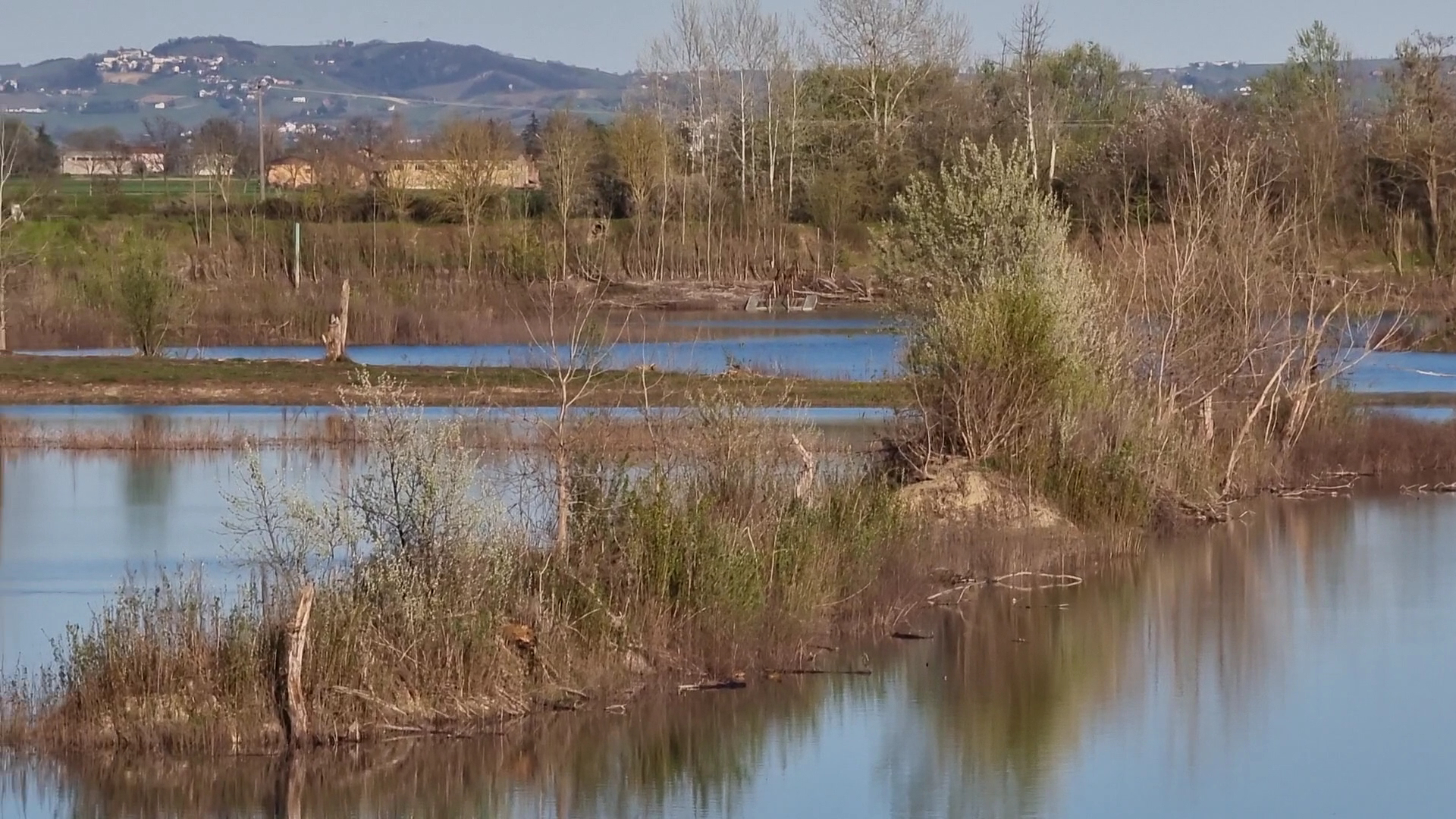 Parco Le Folaghe Oasi