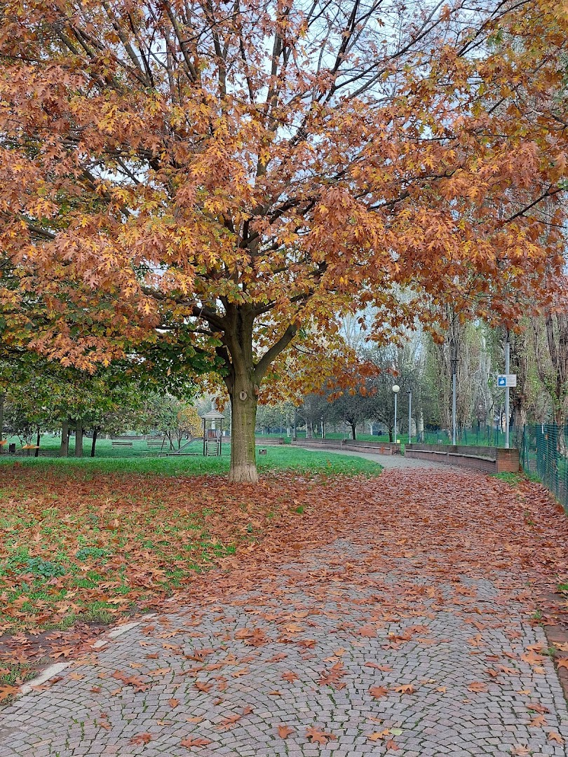 Parco Martin Luther King