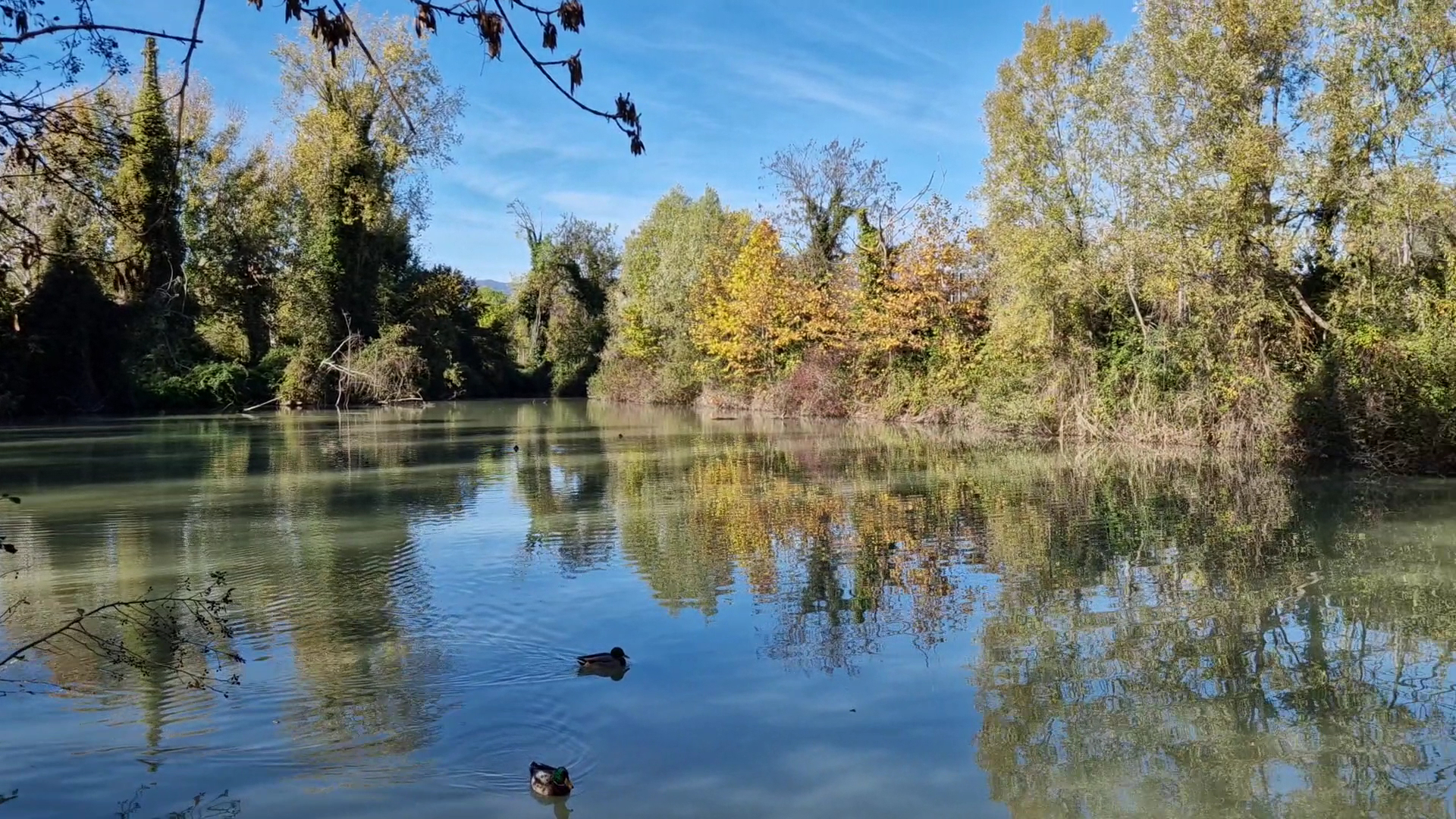 Parco Martiri delle foibe, Pordenone