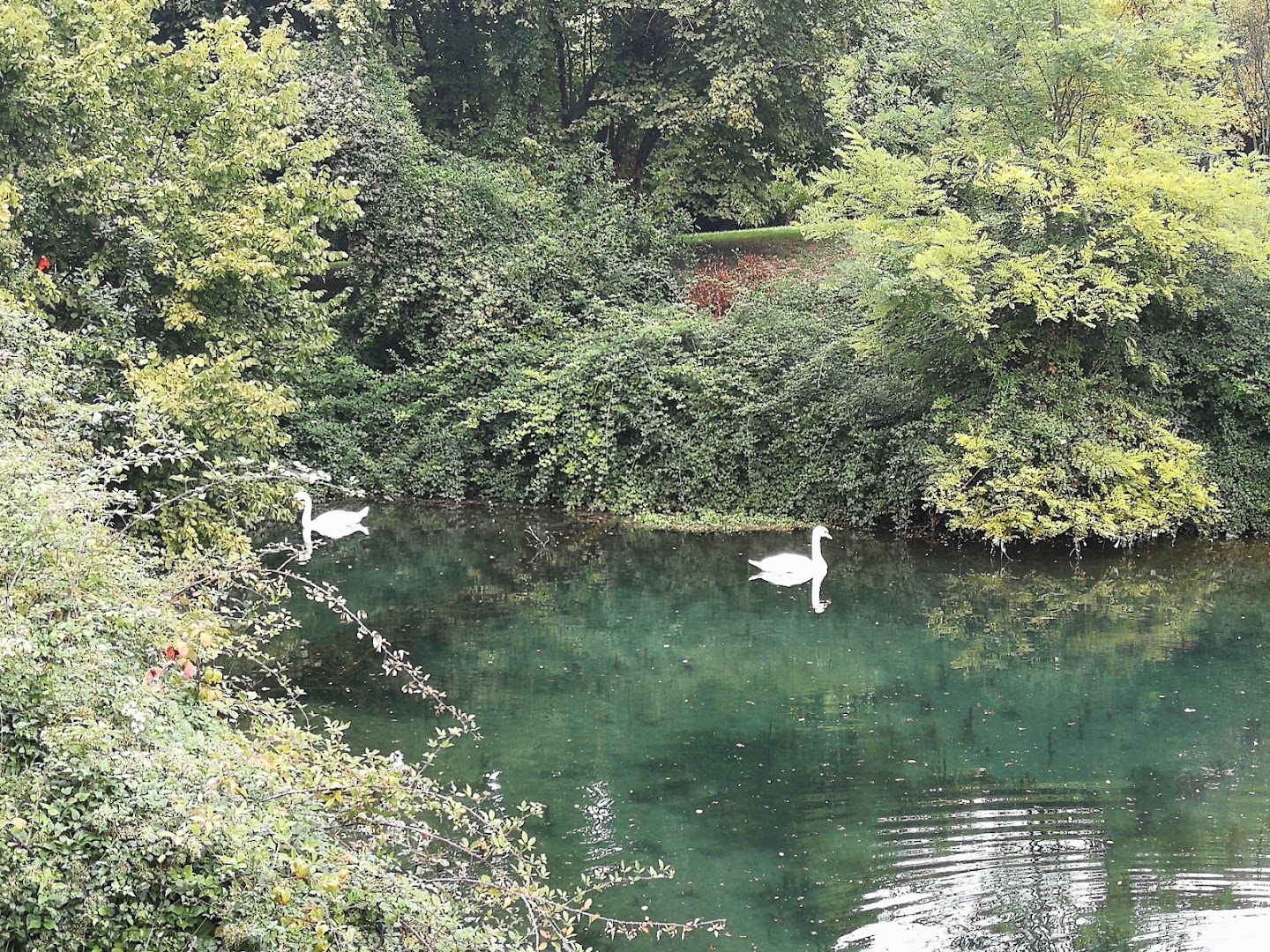 Parco Martiri delle foibe