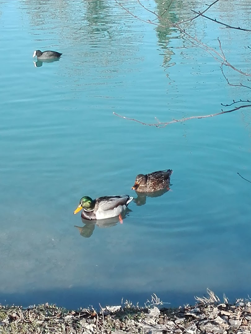 Parco Martiri delle foibe