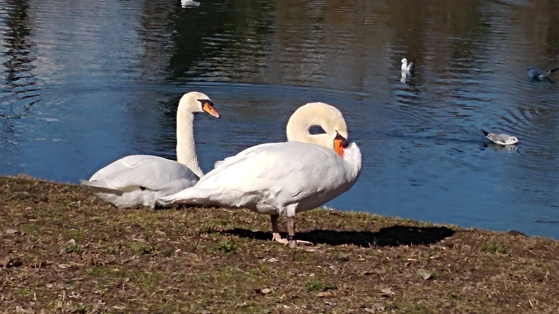 Parco Martiri delle foibe