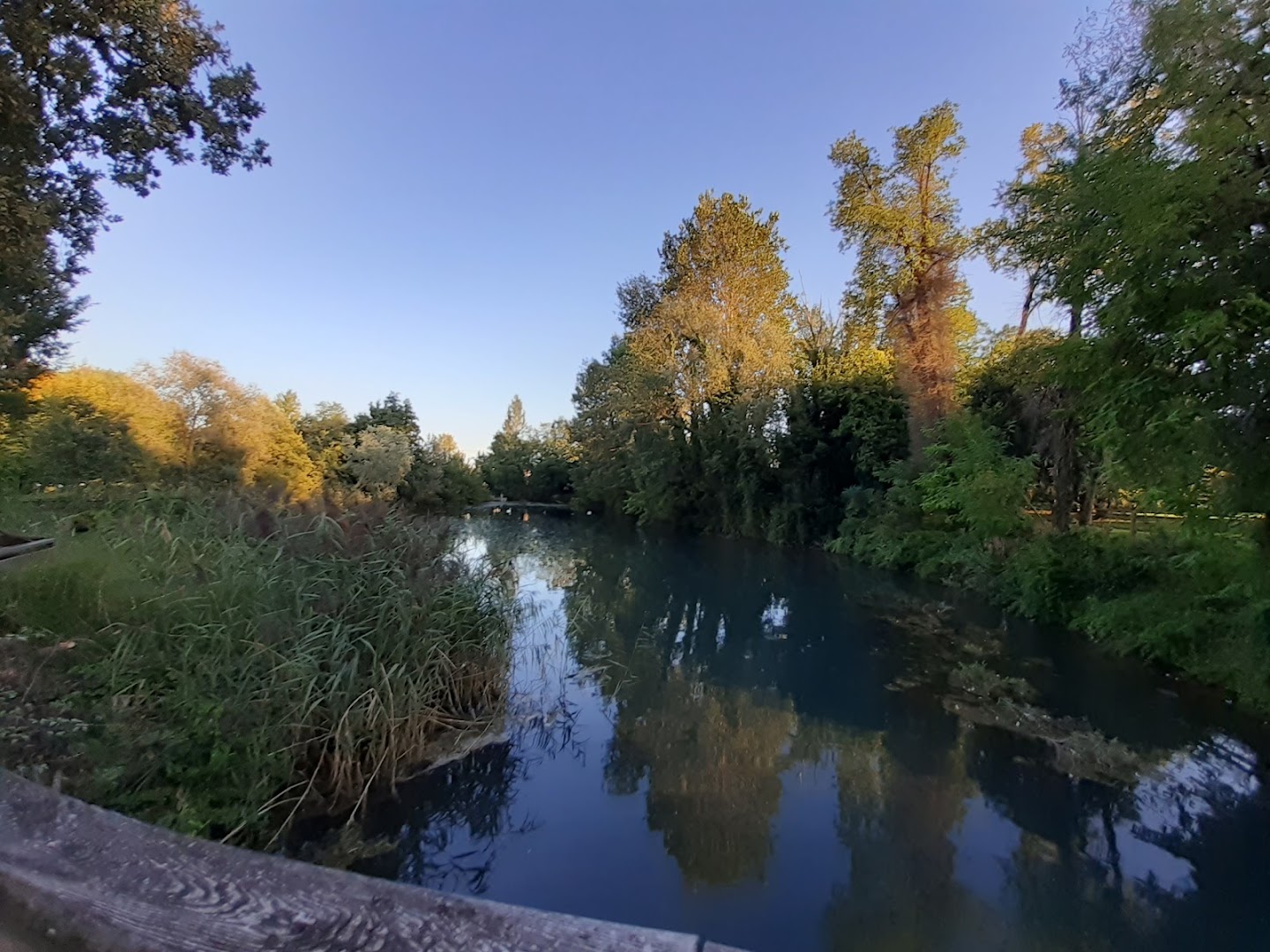 Parco Martiri delle foibe