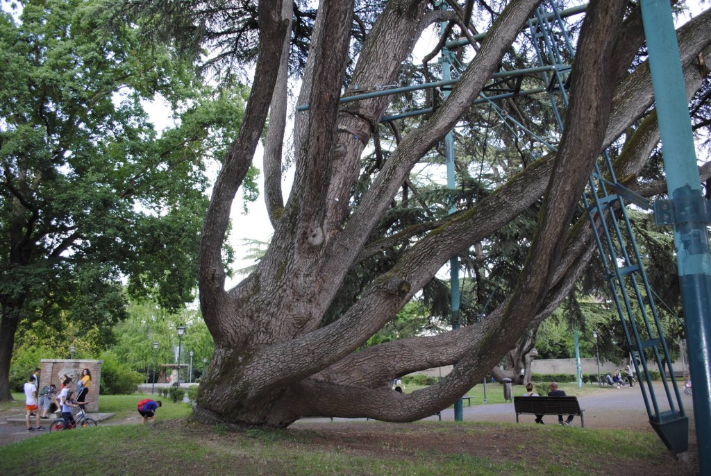Parco Massari